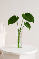 Vaso de Vidro Transparente