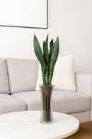 Vaso de Vidro Transparente