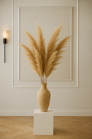 Capim dos Pampas Decorativo