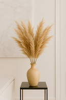 Capim dos Pampas Decorativo