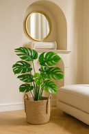 Costela de Adão Artificial com 18 Folhas