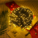 Pisca-Pisca 9 metros – LarViva