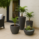 Kit 4 Vasos Decorativos para Planta